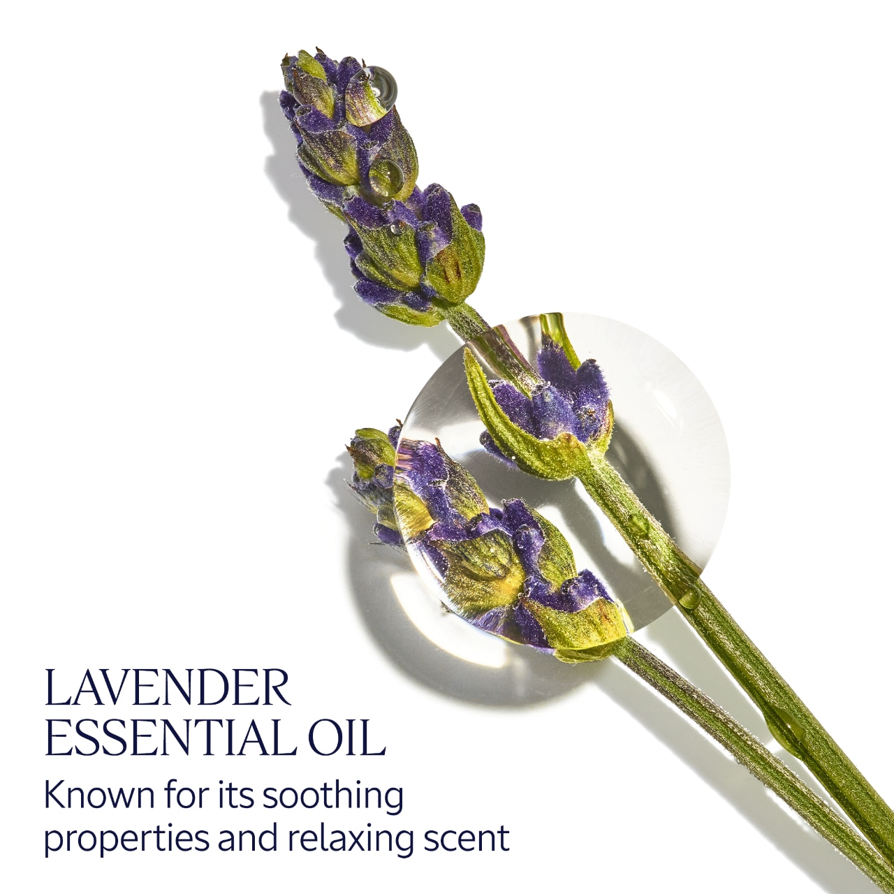L’Occitane – Mini Hand Cream