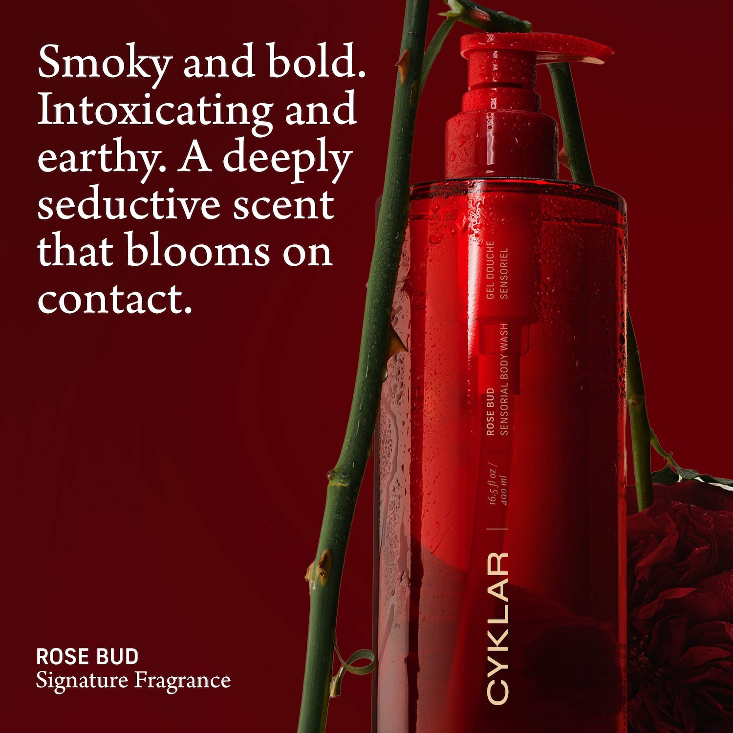 CYKLAR - Rose Bud Sensorial Body Wash for Moisture Barrier - Image 4