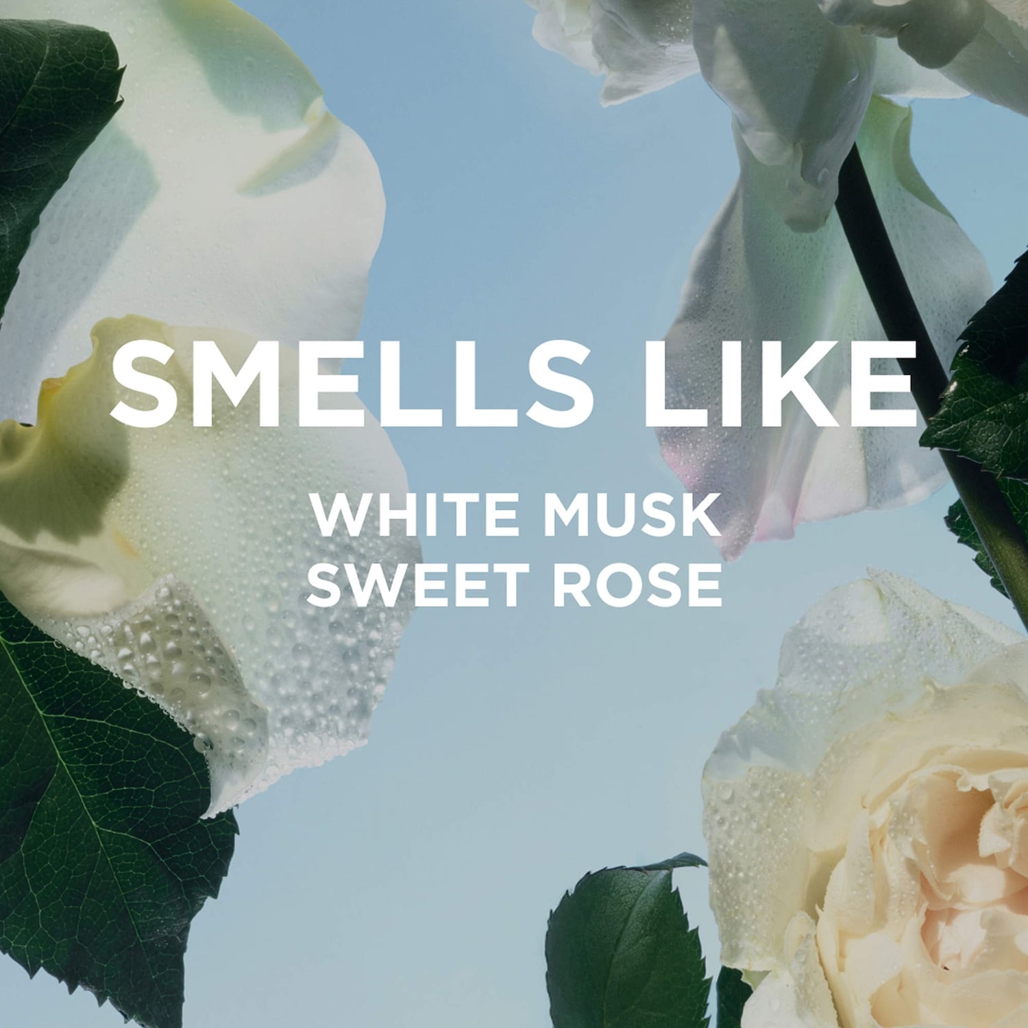 By Rosie Jane - ROSIE body milk with white musk - Image 2