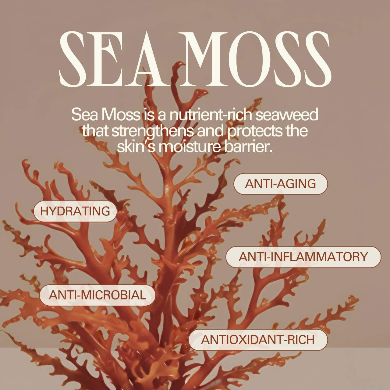 CAY SKIN - Isle Glow Face Sunscreen Moisturizer SPF 45 with Sea Moss and Niacinamide - Image 5