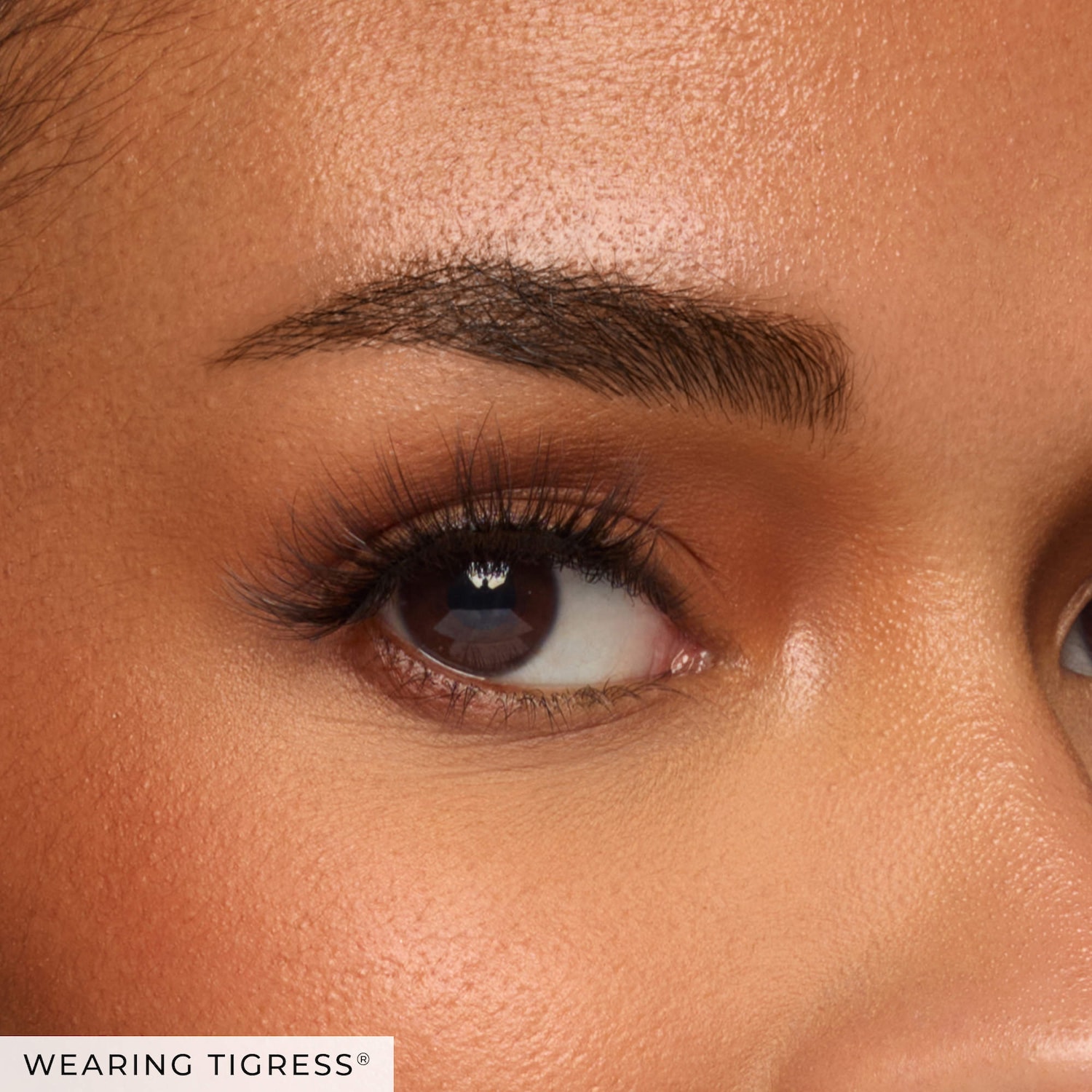 House of Lashes - Reusable Feline® Wispy Cat-Eye Lashes - Image 2